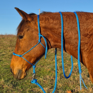 4 Knot Rope Halter & Lead Rope Set