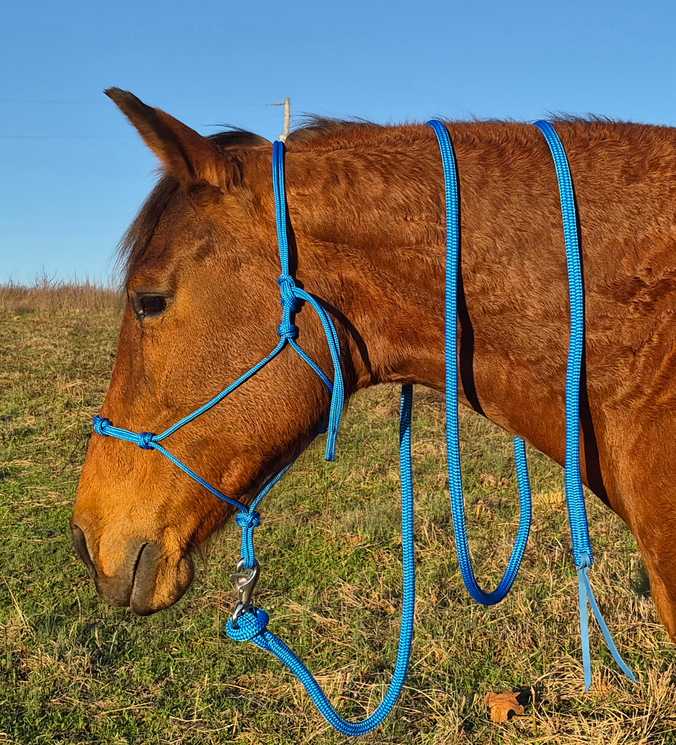 4 Knot Rope Halter & Lead Rope Set